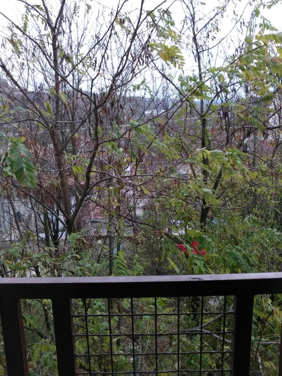Keti 2 Apartment Belgrade Luaran gambar
